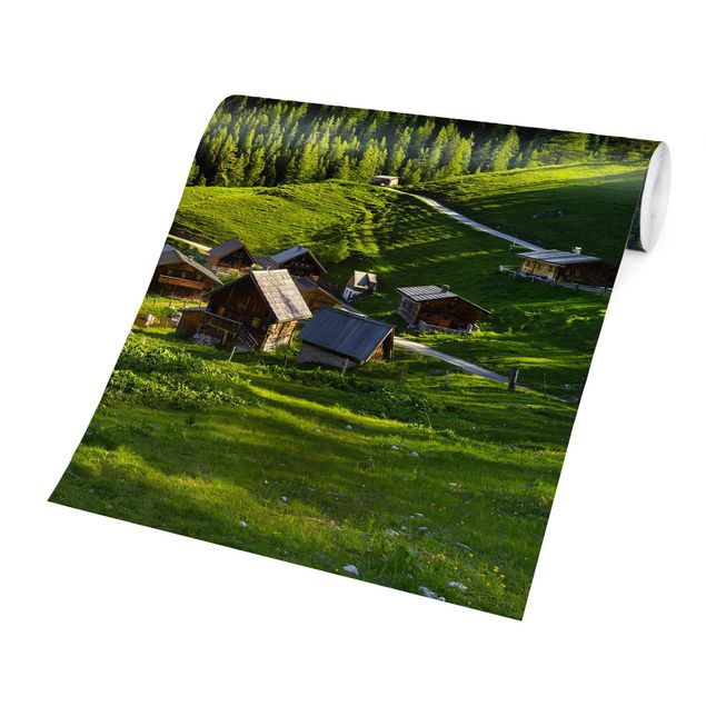 Wallpapers landscape Styria Alpine Meadow