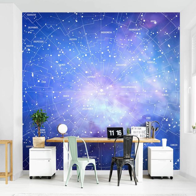 Modern wallpaper designs Stelar Constellation Star Chart