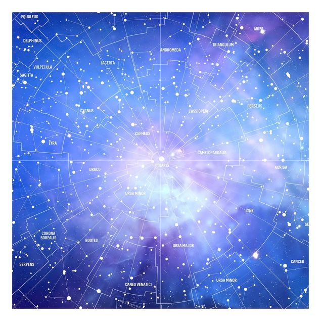 blue wall mural Stelar Constellation Star Chart
