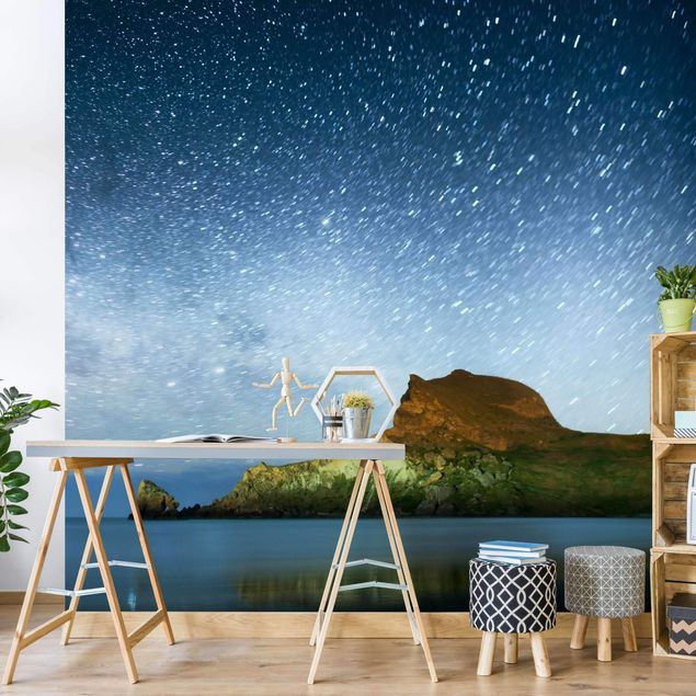 Wallpapers coast Starry Sky
