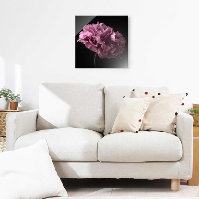 Glass prints flower Proud Peony In Front Of Black