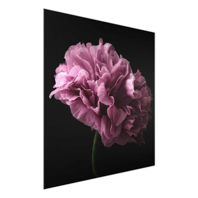Prints floral Proud Peony In Front Of Black