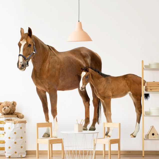 Pony wallpaper Mare & Foal