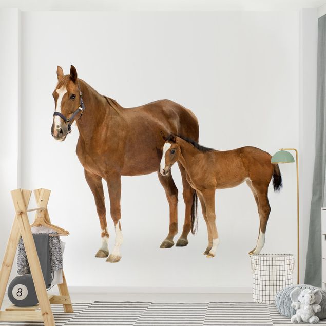 Wallpapers animals Mare & Foal