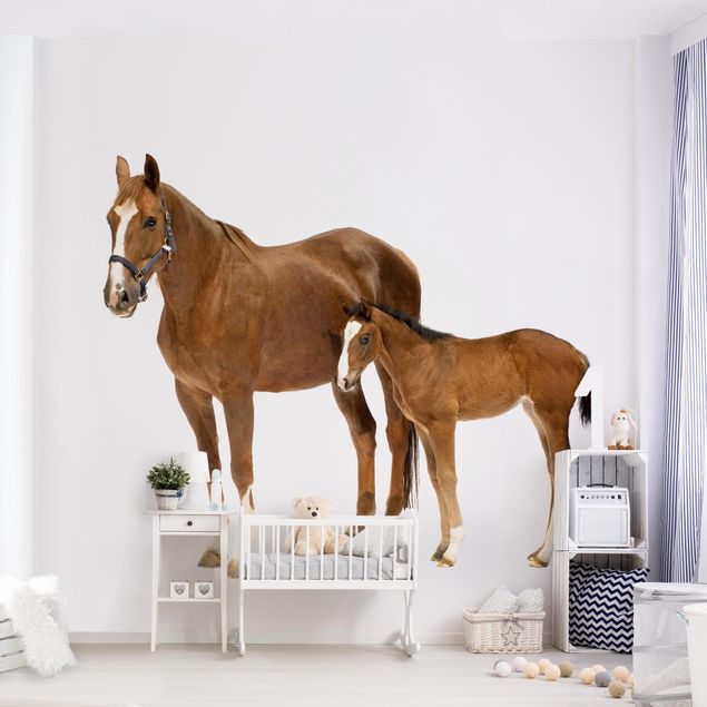 Contemporary wallpaper Mare & Foal