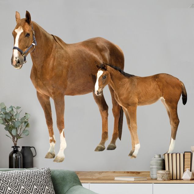 Horse wall art stickers Mare & foal