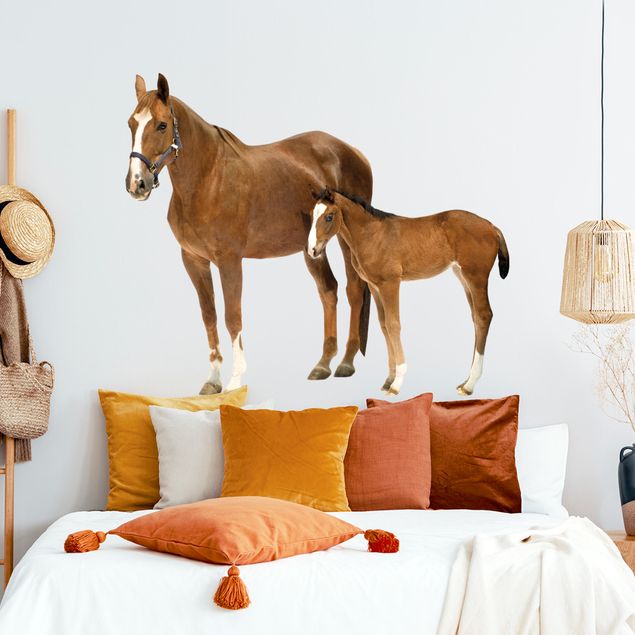 Animal print wall stickers Mare & foal