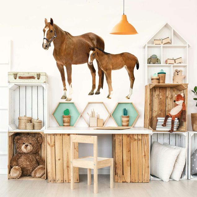 Wall decal Mare & foal