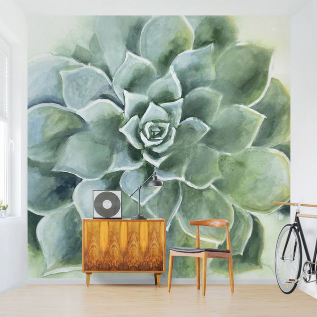Wallpapers flower Succulent Plant Watercolour Dark
