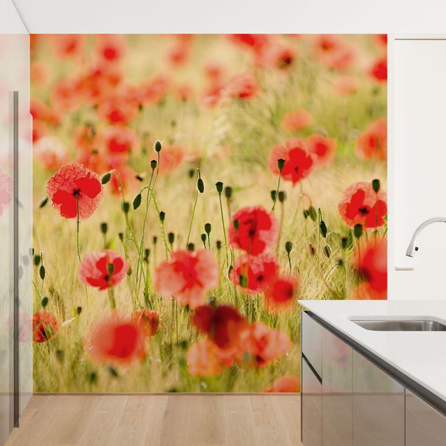 Floral wallpaper Summer Poppies