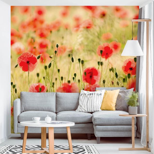 Contemporary wallpaper Summer Poppies