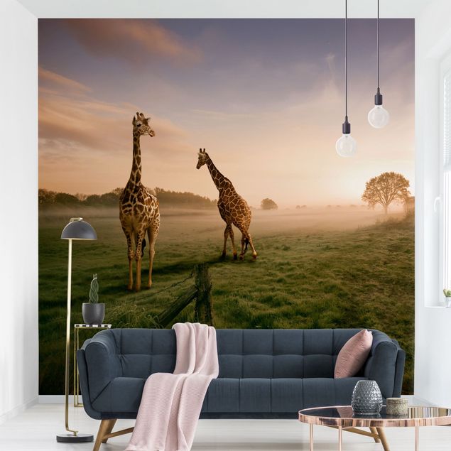 Wallpapers africa Surreal Giraffes