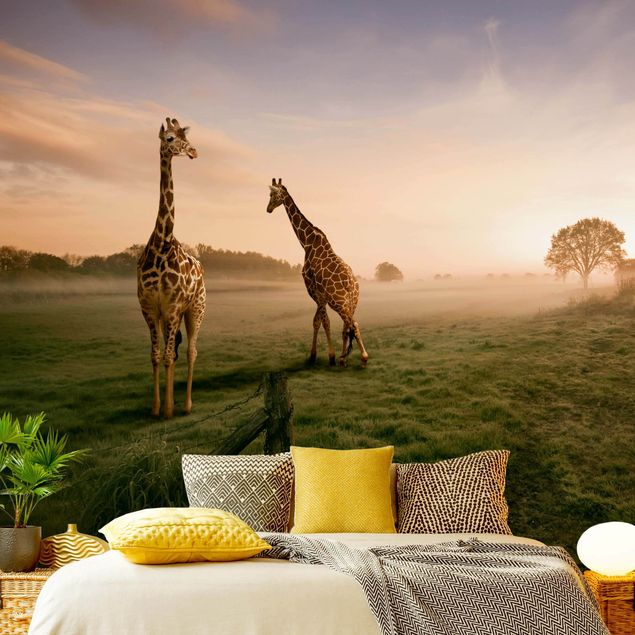 Wallpapers animals Surreal Giraffes