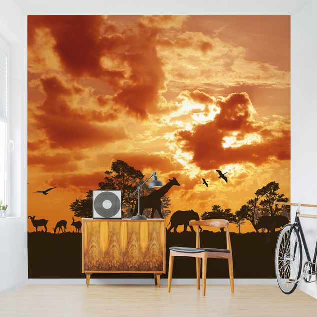 Wallpapers sunset Tanzania Sunset