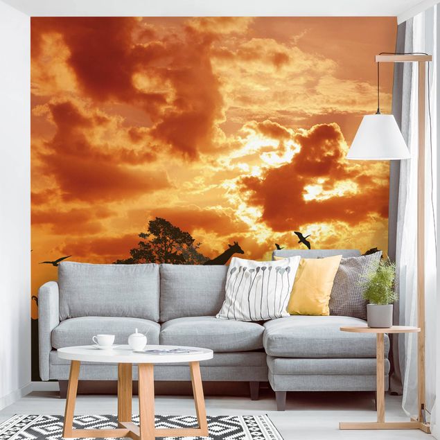 Wallpapers giraffe Tanzania Sunset