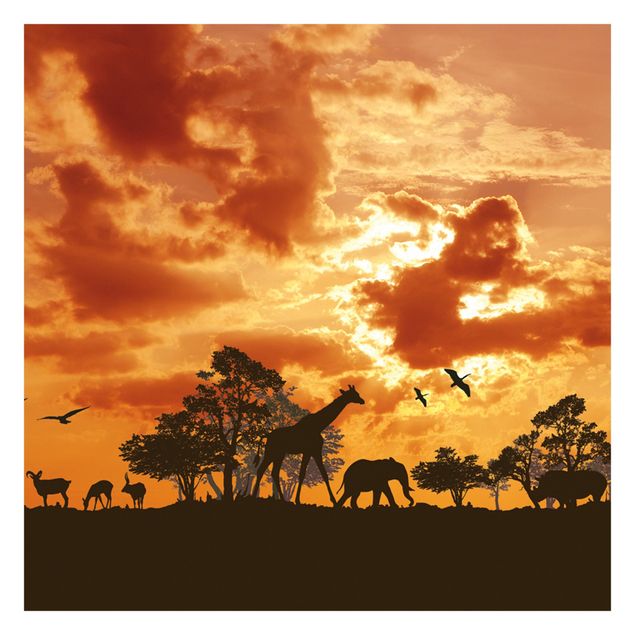 Wallpapers animals Tanzania Sunset