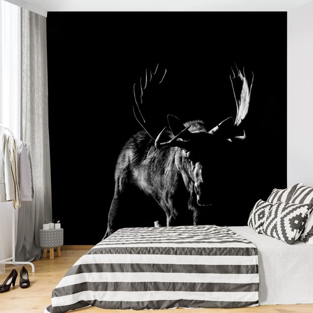 Wallpapers black and white Bull In The Dark