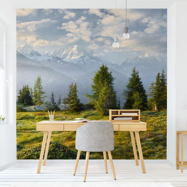 Rainforest wallpaper Émosson Wallis Switzerland