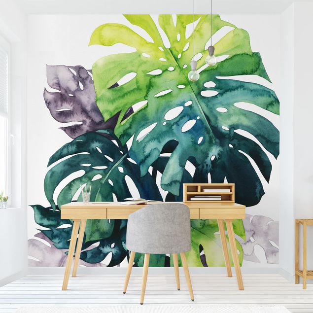 Contemporary wallpaper Exotic Foliage - Monstera