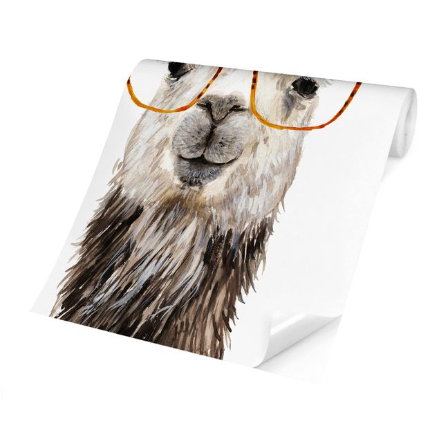 Wallpapers white Hip Lama With Glasses IV