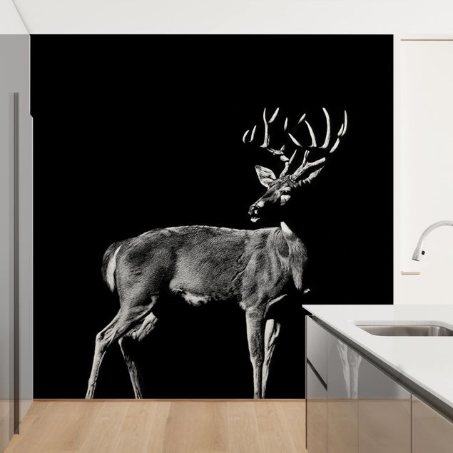 Wallpapers animals Deer In The Dark