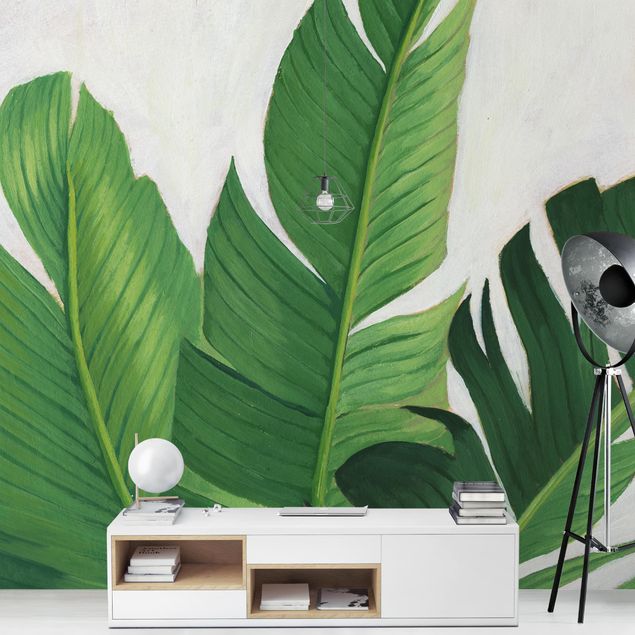 Wallpapers green Favorite Plants - Banana