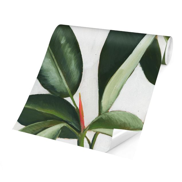 Adhesive wallpaper Favorite Plants - Rubber Tree