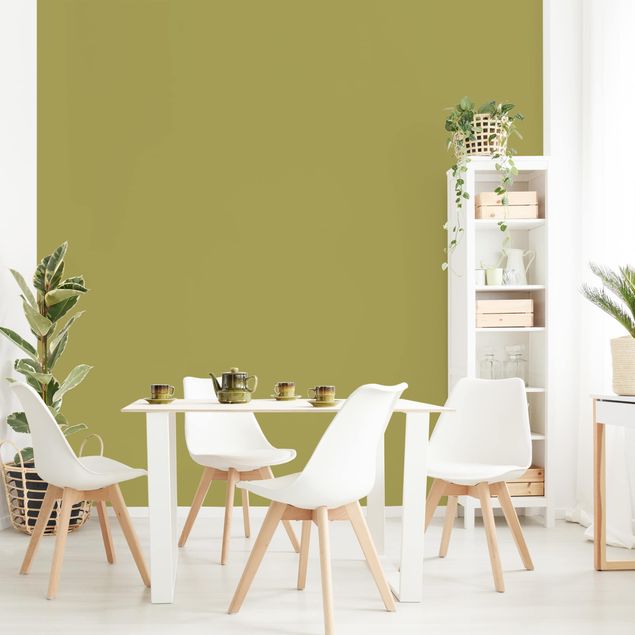 Contemporary wallpaper Lime Green Bamboo