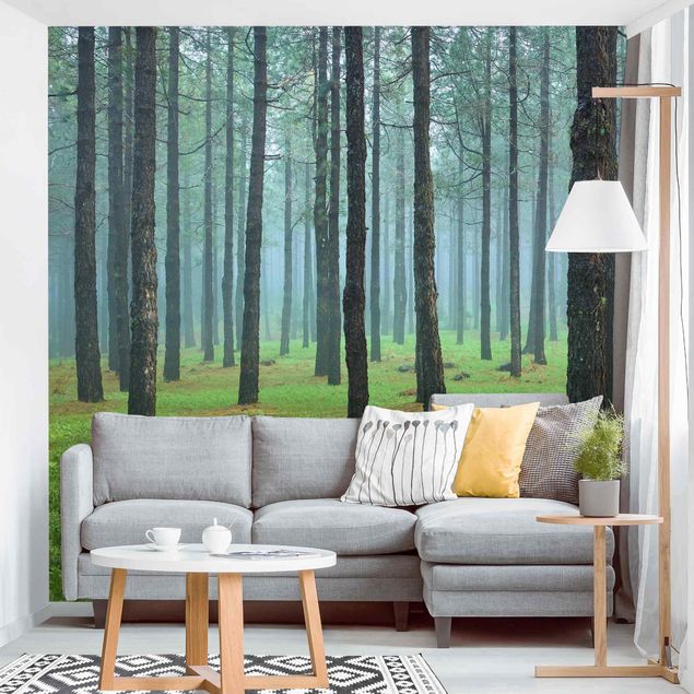 Contemporary wallpaper Deep Forest With Pine Trees On La Palma