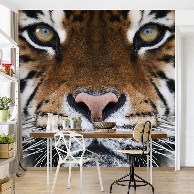 Wallpapers tiger Tiger Eyes