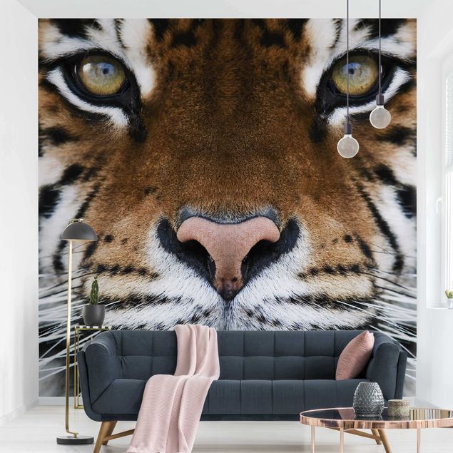 Wallpapers animals Tiger Eyes