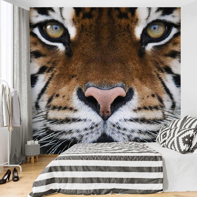 Modern wallpaper designs Tiger Eyes