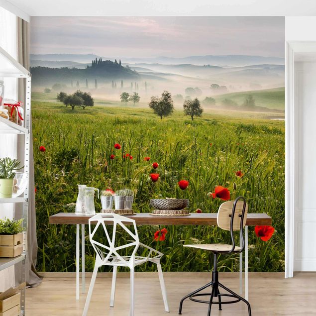 Wallpaper poppy flower Tuscan Spring