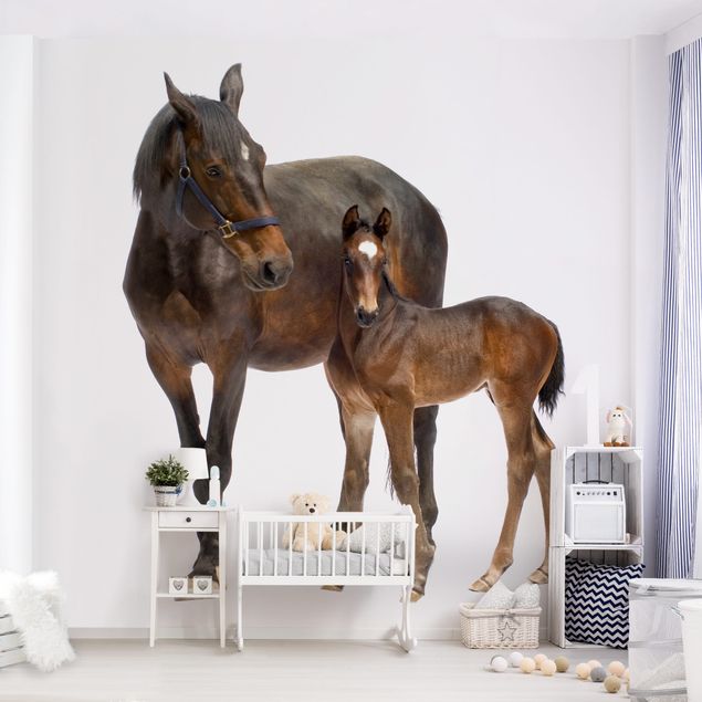 Contemporary wallpaper Trakehner Mare & Foal