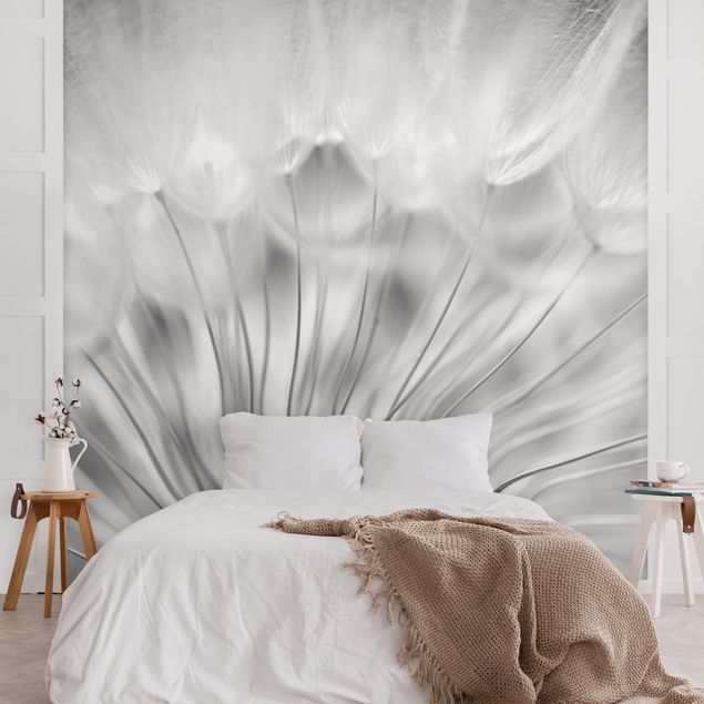 Wallpapers dandelion Beautiful Dandelion Black And White