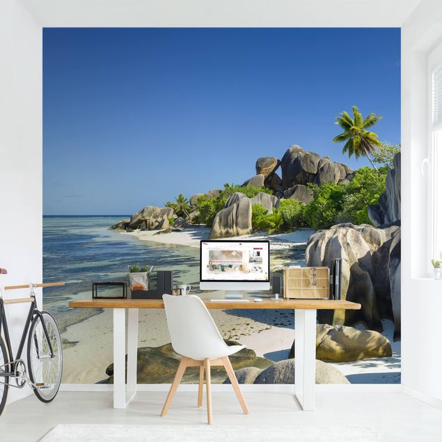 Wallpapers flower Dream Beach Seychelles