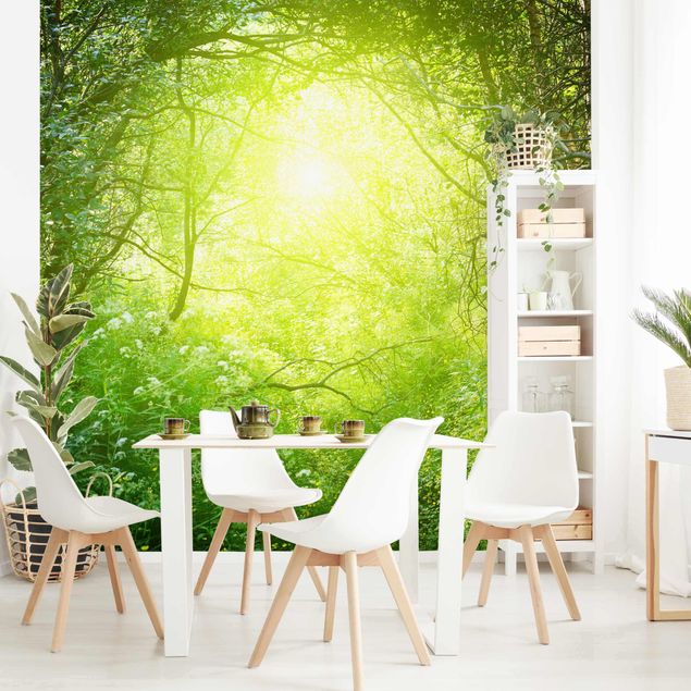 Kitchen Magical Forest