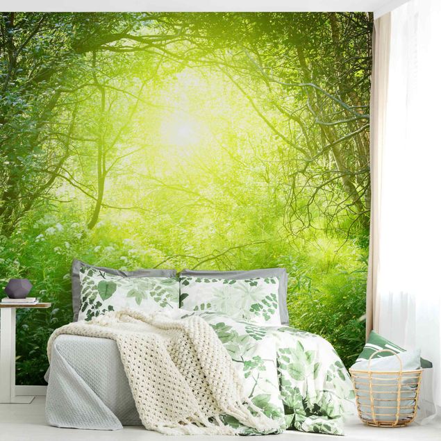 Contemporary wallpaper Magical Forest