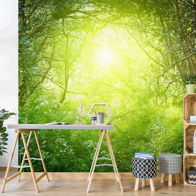 Rainforest wallpaper Magical Forest