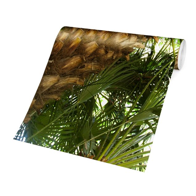 Self adhesive wallpapers Tropical Iceland