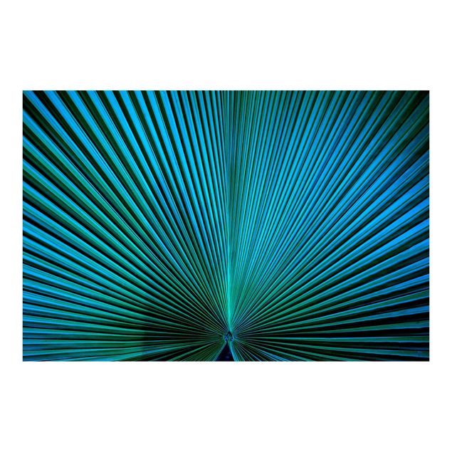 Adhesive wallpaper Tropical Plants Palm Leaf In Turquoise ll