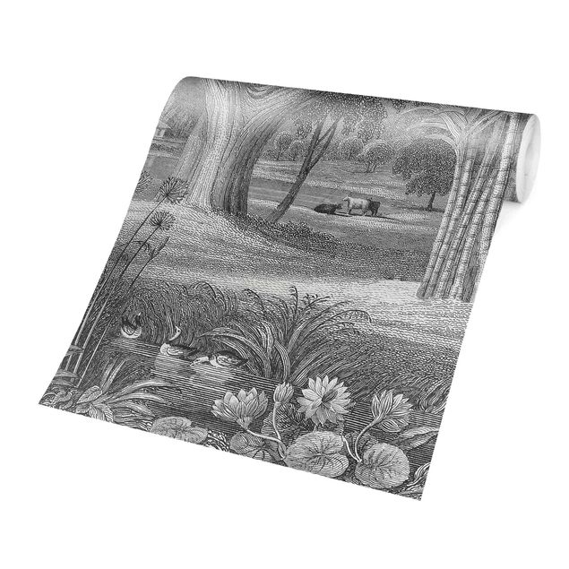 Wallpapers grey Tropical Copperplate Engraving Garden With Pond In Grey
