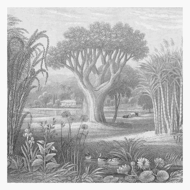 Self adhesive wallpapers Tropical Copperplate Engraving Garden With Pond In Grey