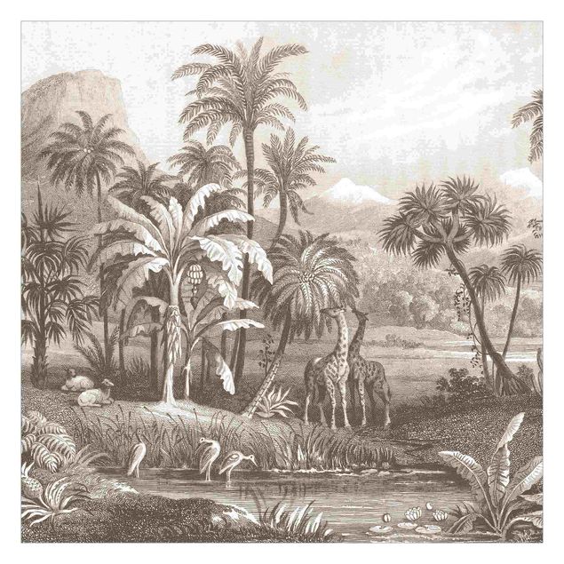 Aesthetic vintage wallpaper Tropical Copperplate Engraving With Giraffes In Brown