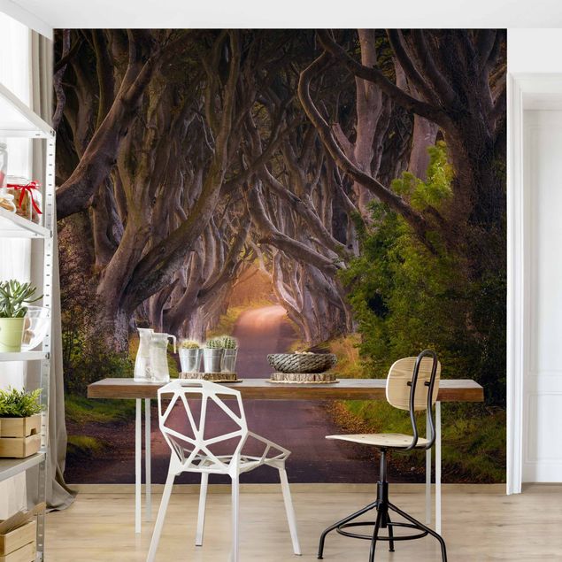 Modern wallpaper designs Tunnel Of Trees