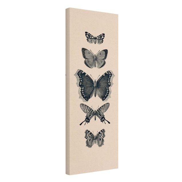 Animal canvas art Ink Butterflies On Beige Backdrop