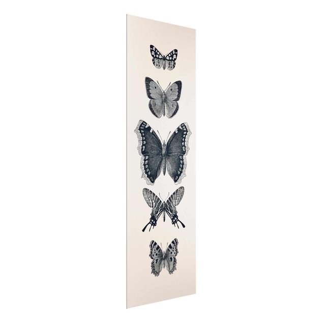 Animal wall art Ink Butterflies On Beige Backdrop