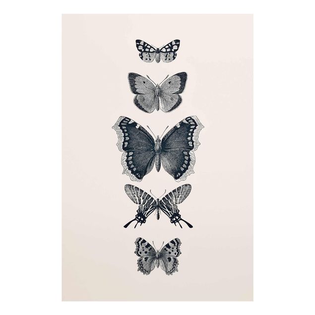 Contemporary art prints Ink Butterflies On Beige Backdrop