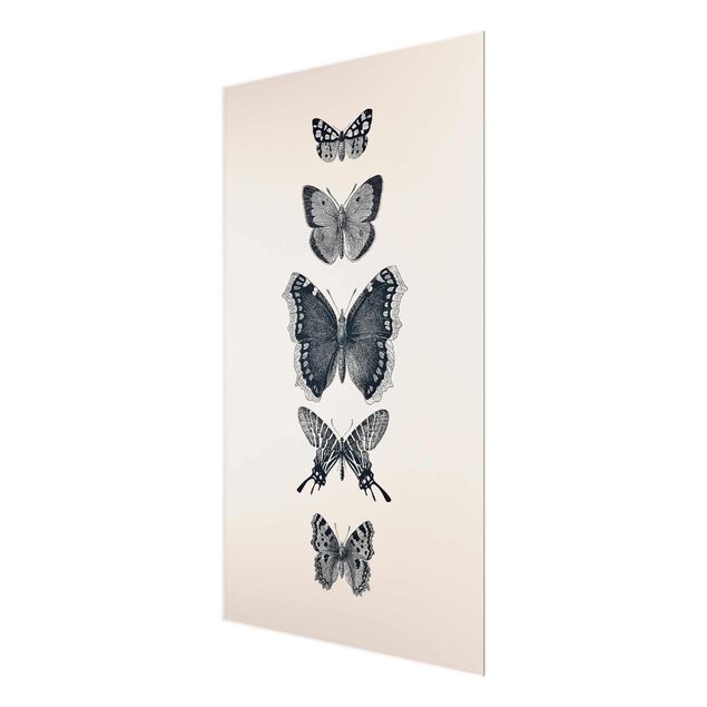 Grey canvas art Ink Butterflies On Beige Backdrop