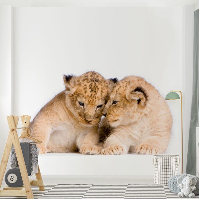 Wallpapers modern Two Lion Babys